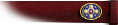 Foreign Diplomat